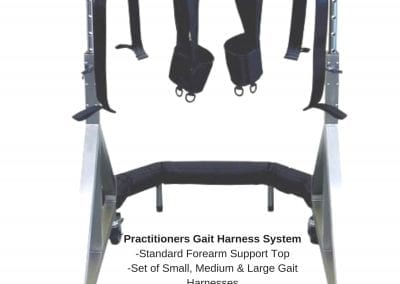 Gait Harness System for Practitioners